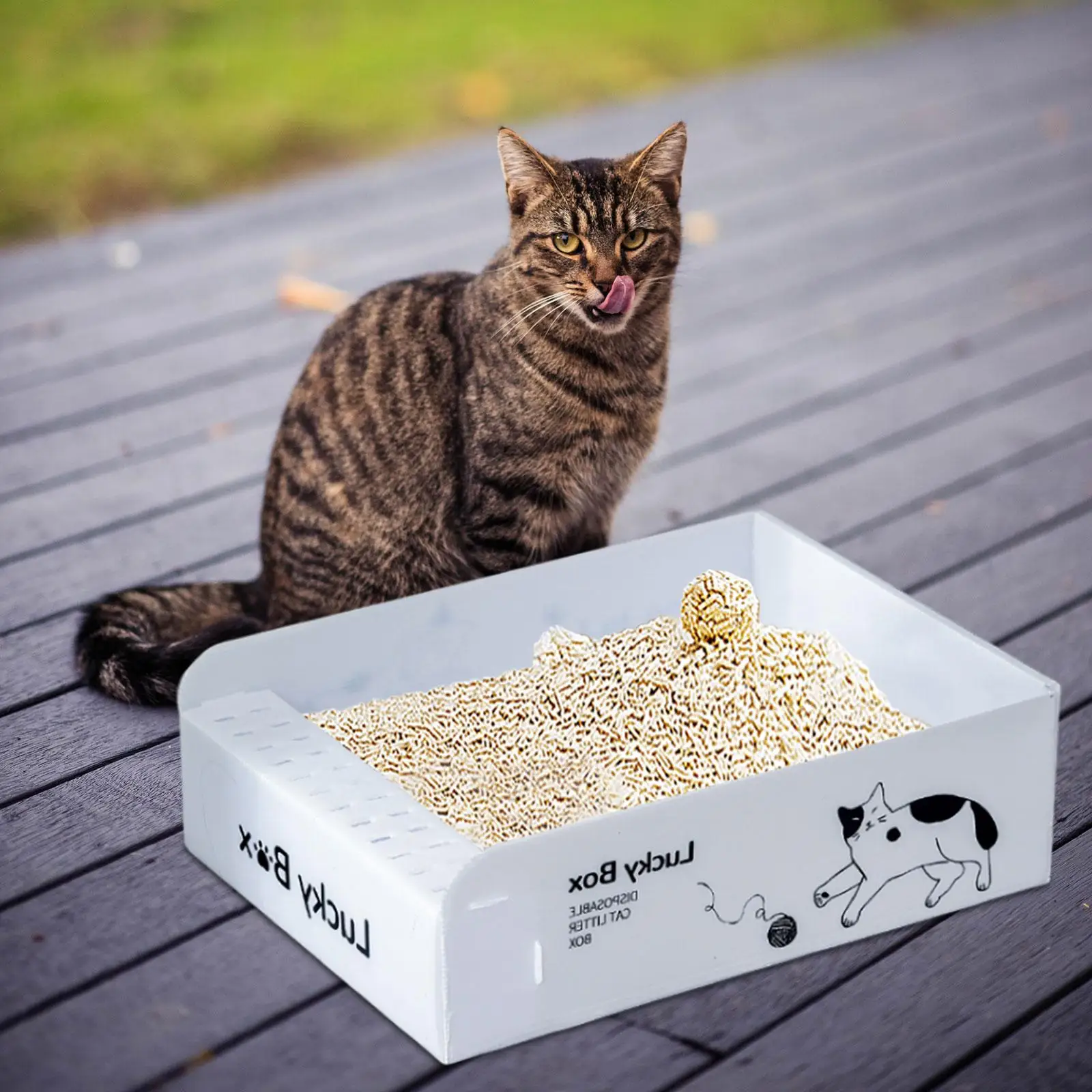 Open Cats Litter Box Sand Box Kitty Litter Pan Disposable Cat Litter Box Pet