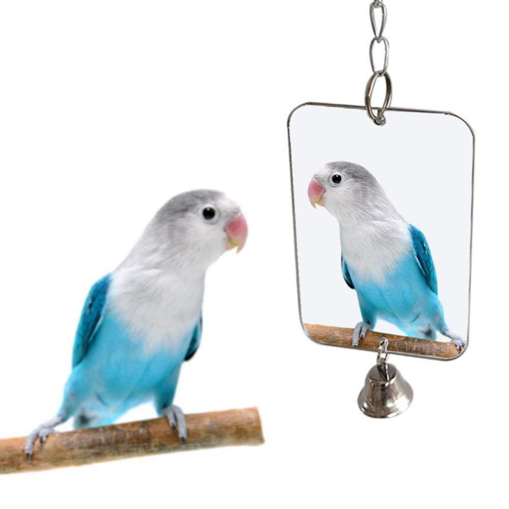 Title 8, Bird Toy Mirror Bell Portable Acrylic Play Toy ...