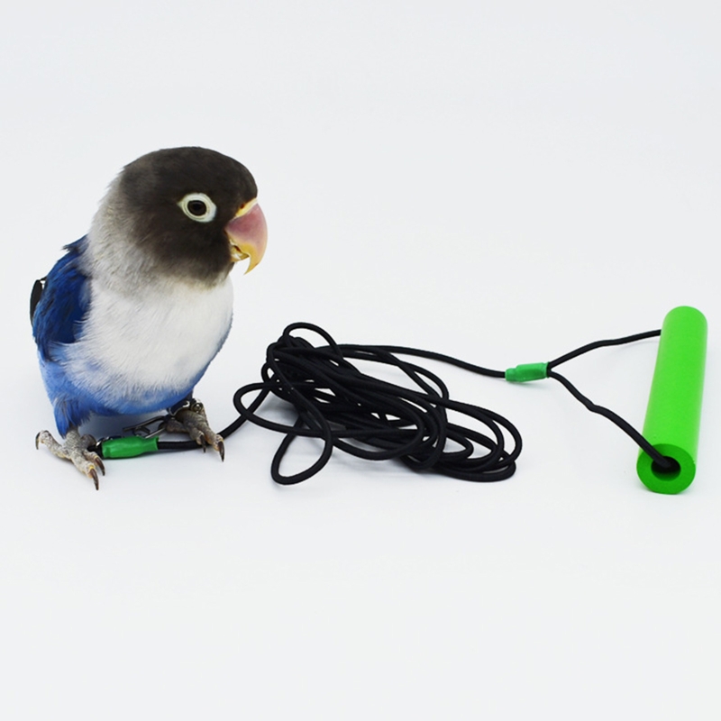 Title 10, 20 Feet Parrot Bird Anti-bite Flying Training R...