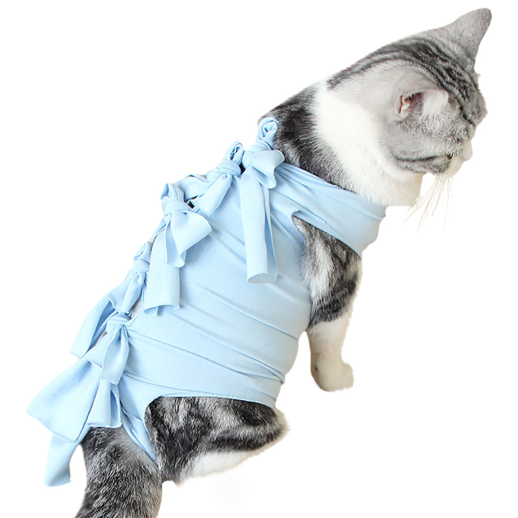 surgery shirt for cats