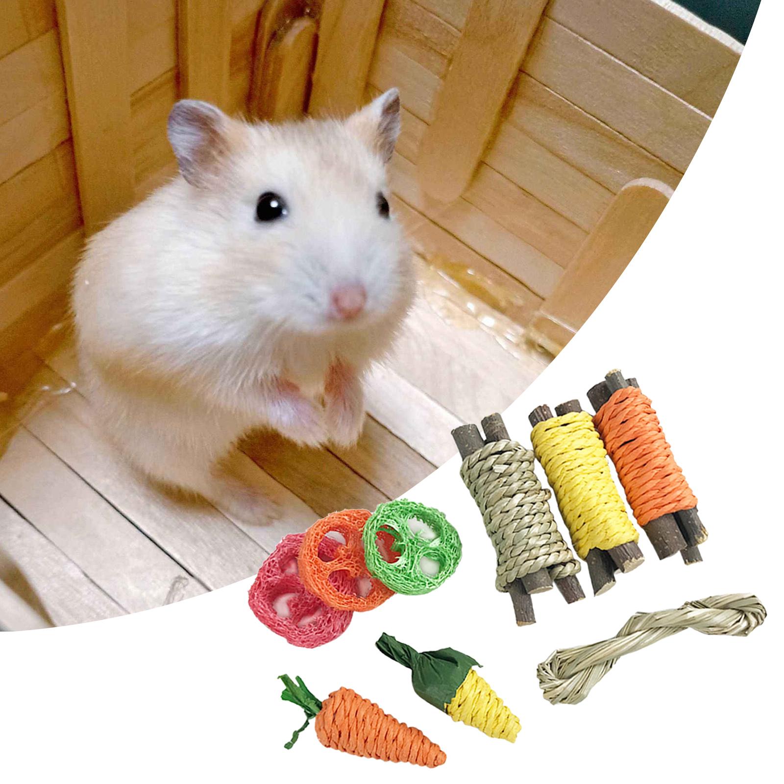 9 Pieces Rabbit Chew Toys Bite Grind  Toy for Guinea Pigs Chinchillas  Cleaning