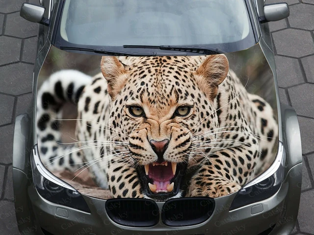 Auto Marken Sticker Jaguar