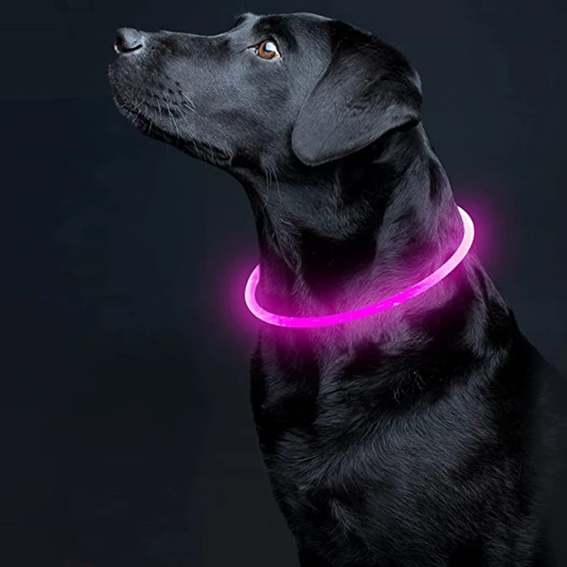 Led Light Dog Collar Detachable Glowing USB Charging Luminous Leash for Big Cat Collar Small Bright Labrador  Pets Dogs Products