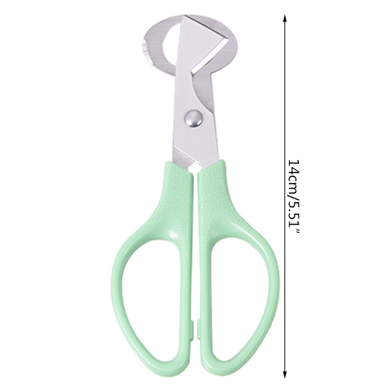 Description Picture 6 of item10pcs Quail Eggs Scissors, Stainless Steel Pigeon Quail Egg Cutter, Pigeon Bird Quail Egg Opener Kitchen Egg Shears Tool