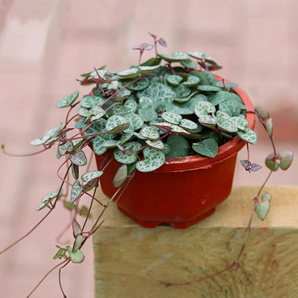 Description Picture 4 of itemFlower Basket Reusable Heighten Plastic Hanging Planter Basket Decor Pot Flower Pots Hanging Round Garden Basket for Outdoor