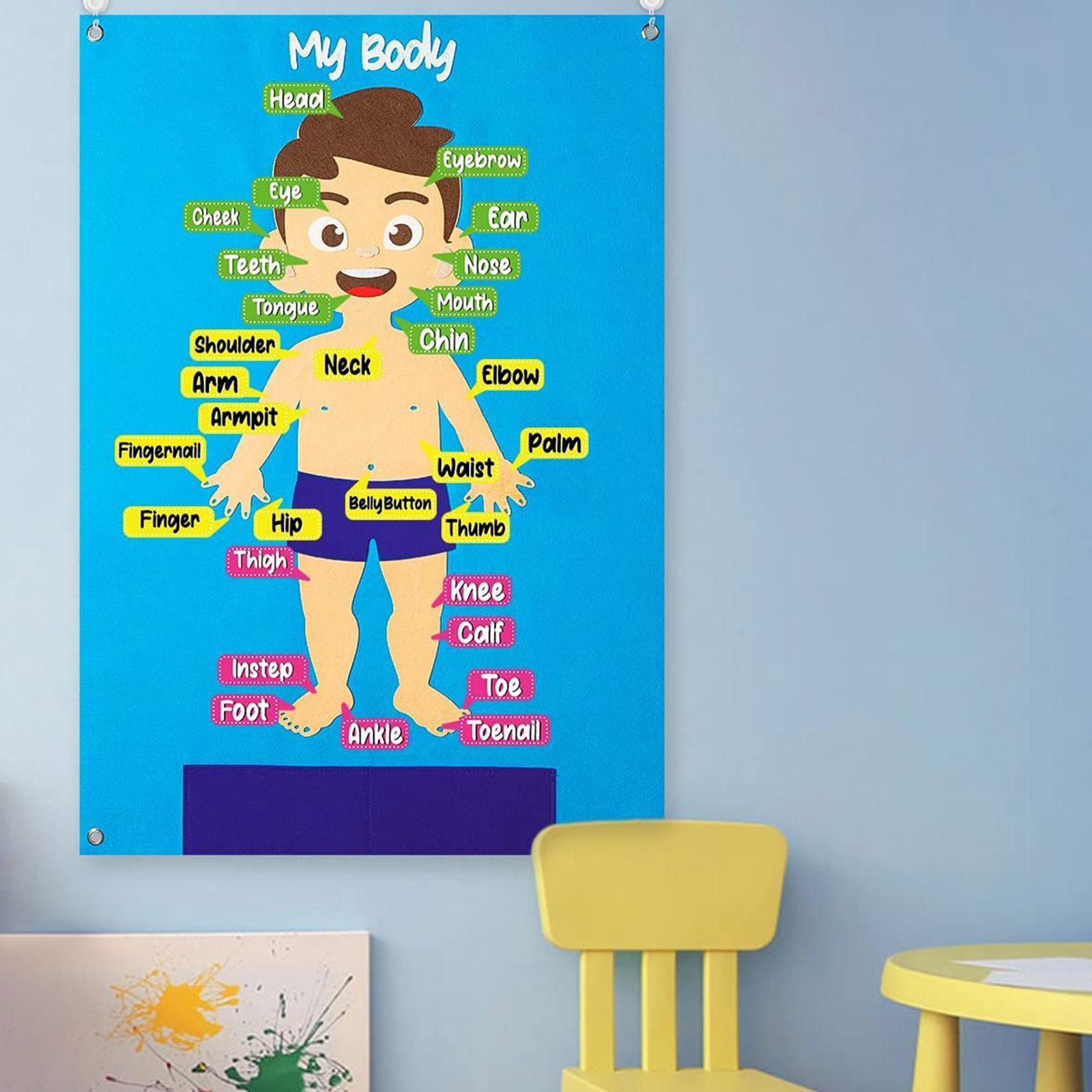 Learning Toy Felt Puzzle Busy Board Colorful Detachable Teaching Aids Body Parts Learning Felt Board Toddlers Preschool Infant