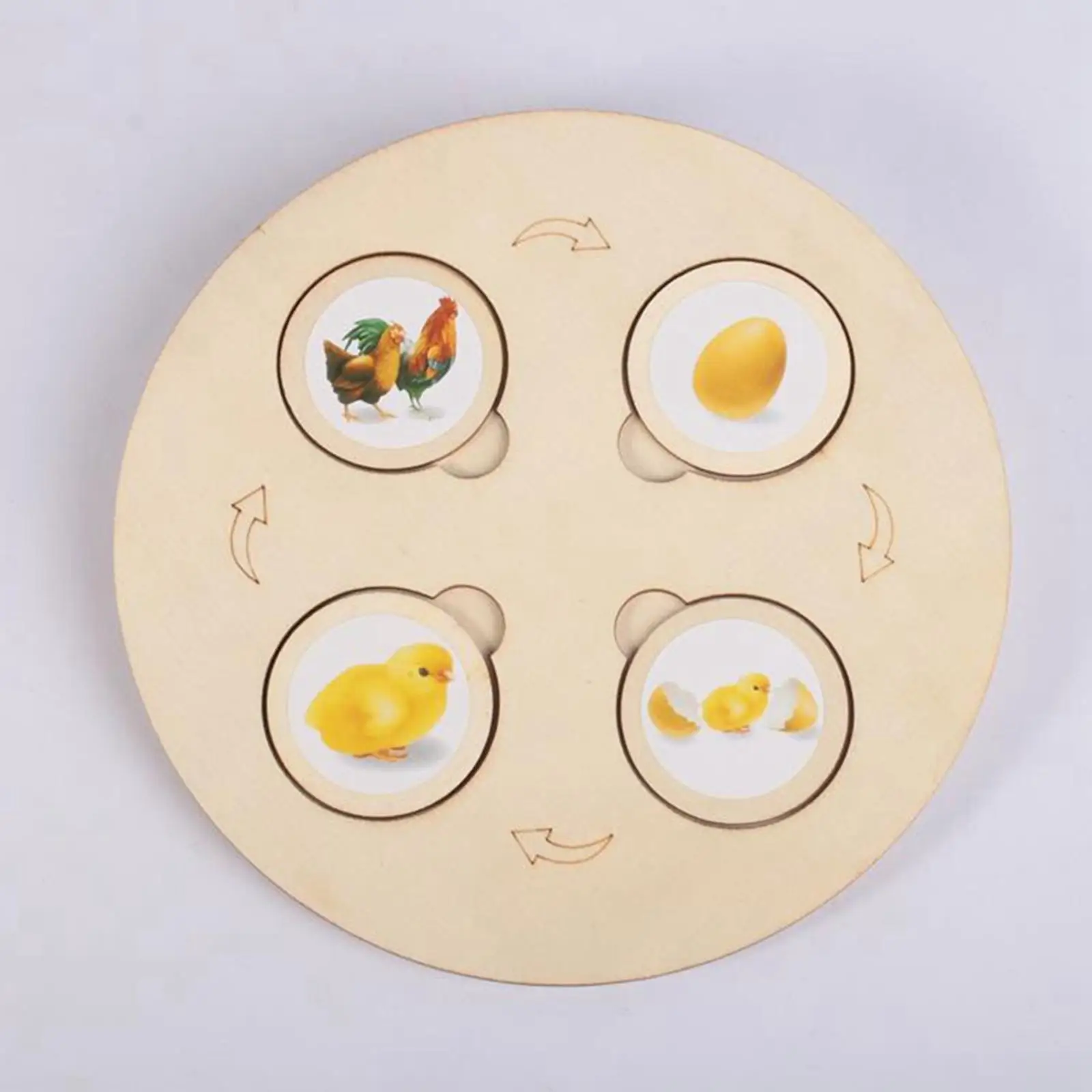 life Cycle Tray Wooden Puzzle for Preschool Student Teaching Prop