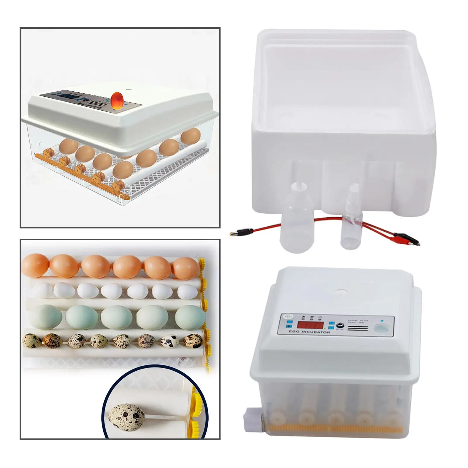 Egg Incubator, 16/36 Mini Digital Automatic Incubator for Chicken Quail Eggs, Poultry Hatcher for Hatching Ducks Goose Birds