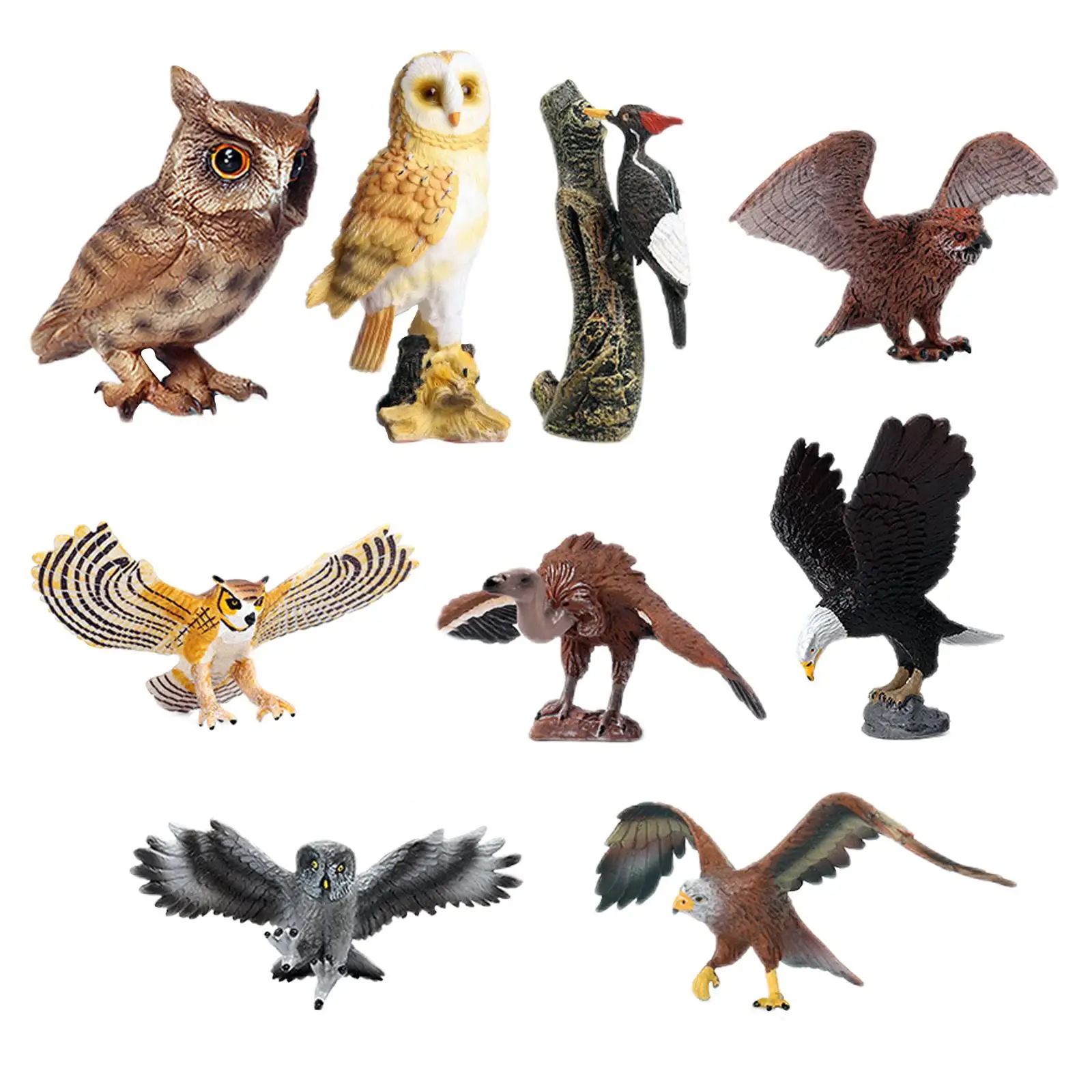 9Pcs Bird Figures for Desktop Decoration Development Educational Toy