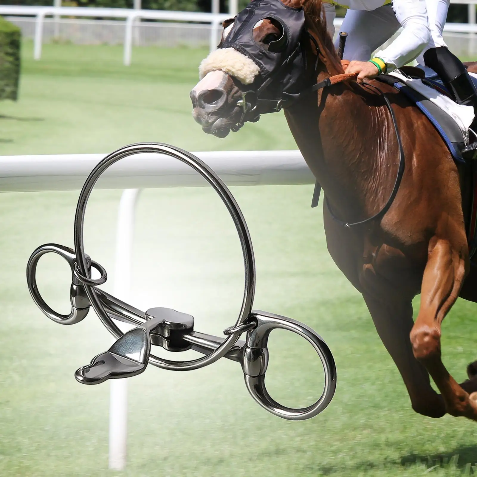 Horse Bit Performance Stainless Steel All Purpose Larger Rings Horse Rings Bit