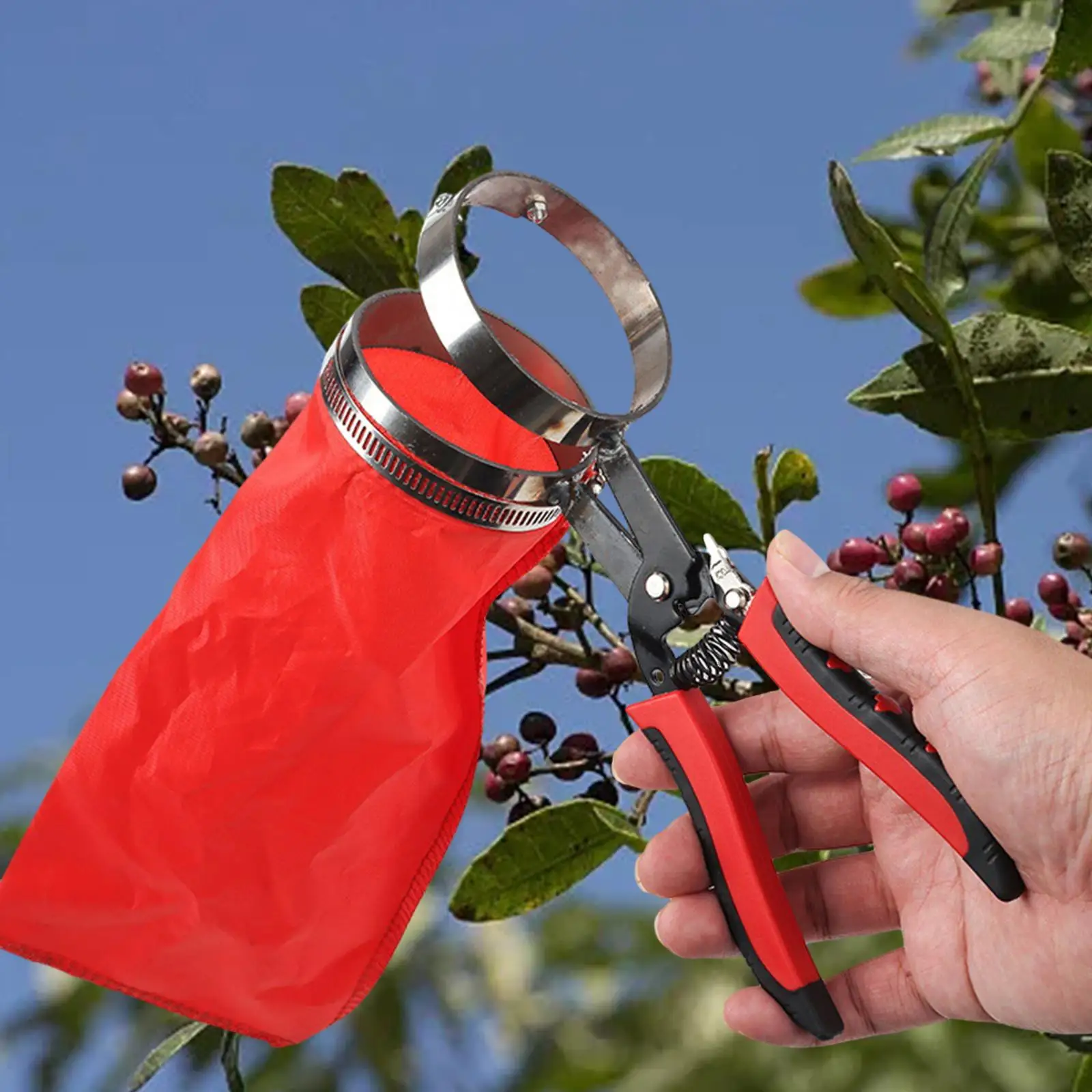 Garden Pepper Picker Picking Tool Multipurpose with Storage Bags Pepper Scissors for Fruit Tree Pruning Pears Pepper Vegetables
