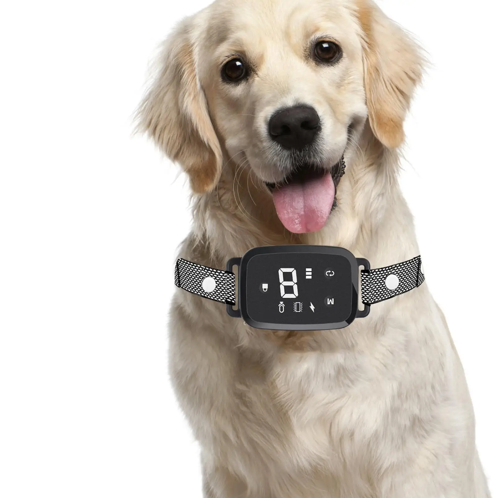 Dog Bark Collar Puppy LED Indicator Dog Training Device Dog Training Collar for Running Living Room Walking Household Indoors