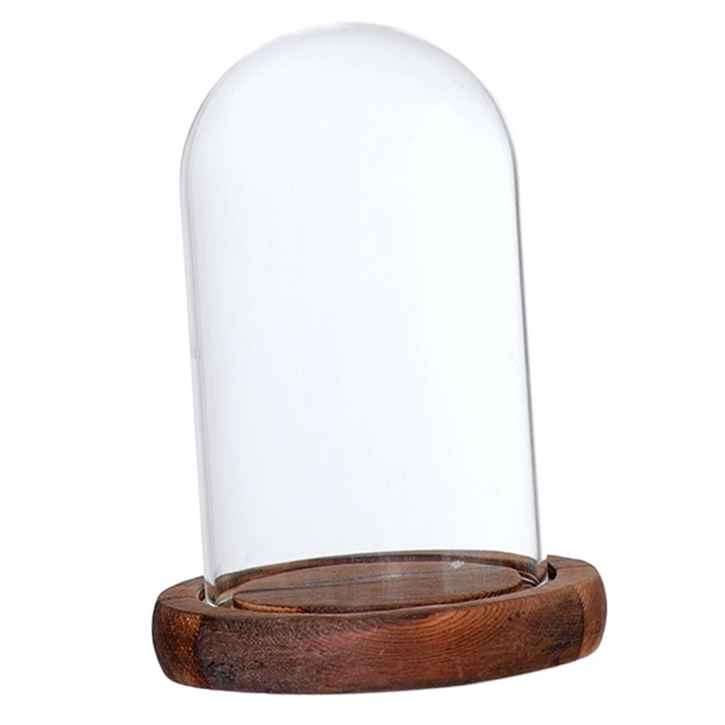 Glass Glass Display Dome Cloche Bell Jar with Wooden Base DIY Decoration Garden Micro Flower Landscape Bottle Holder Home Decor