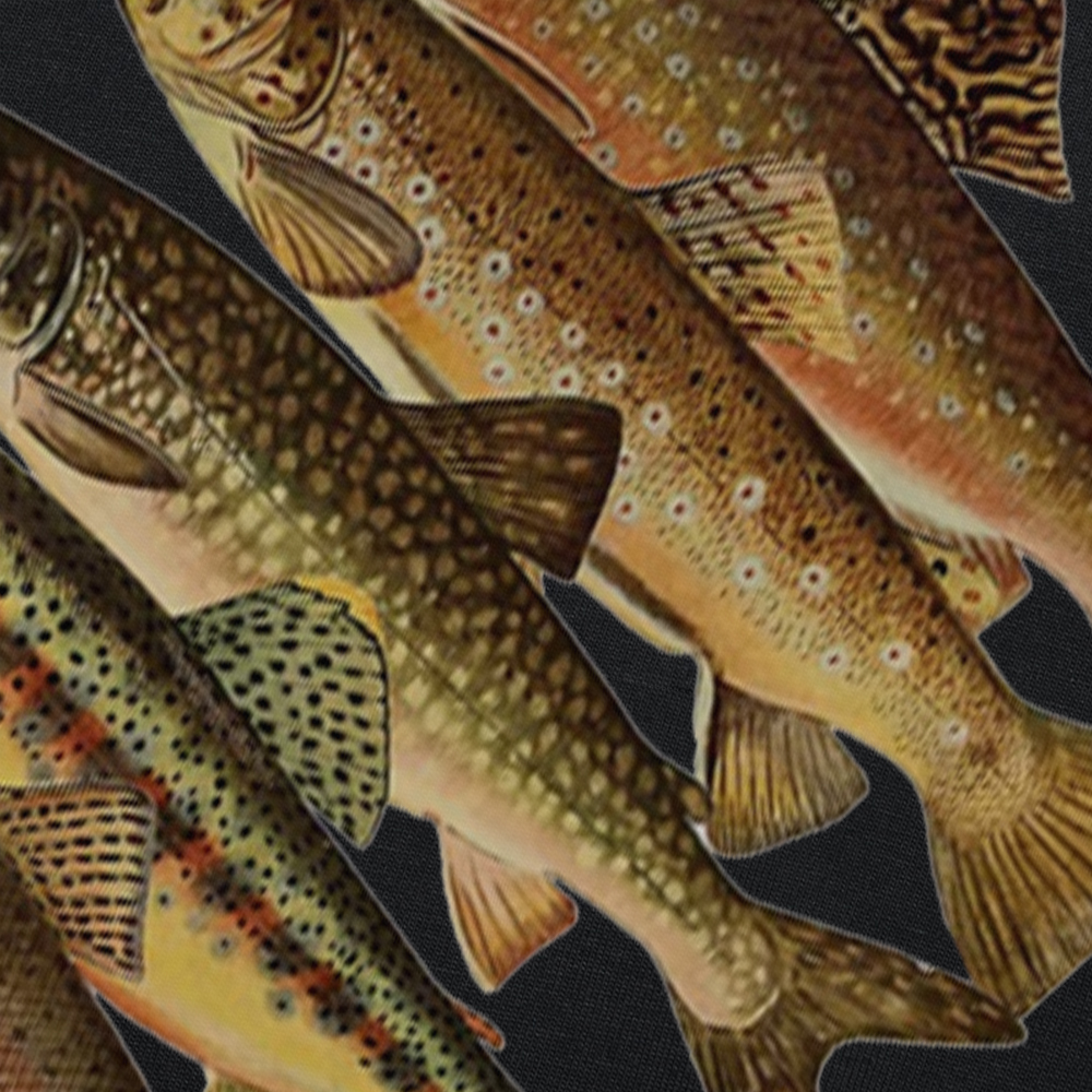 Lustige Arten von Forellen zum Fliegenfischen, T-Shirt, Sommer-Grafik, Baumwolle, Streetwear, kurzärmelig, Geburtstagsgeschenke, T-Shirt, Herrenbekleidung – Detail 5