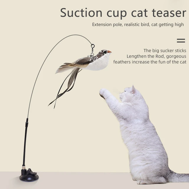 Simulation Feather Bird Interactive Cat Toy with Suction Cup Cat