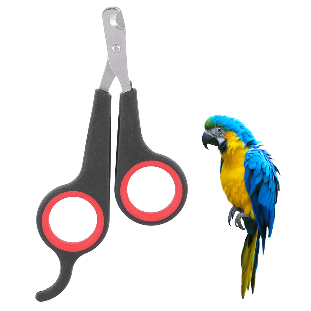 Title 1, Pet Bird Parrot Small Animals Accessory Groomin...