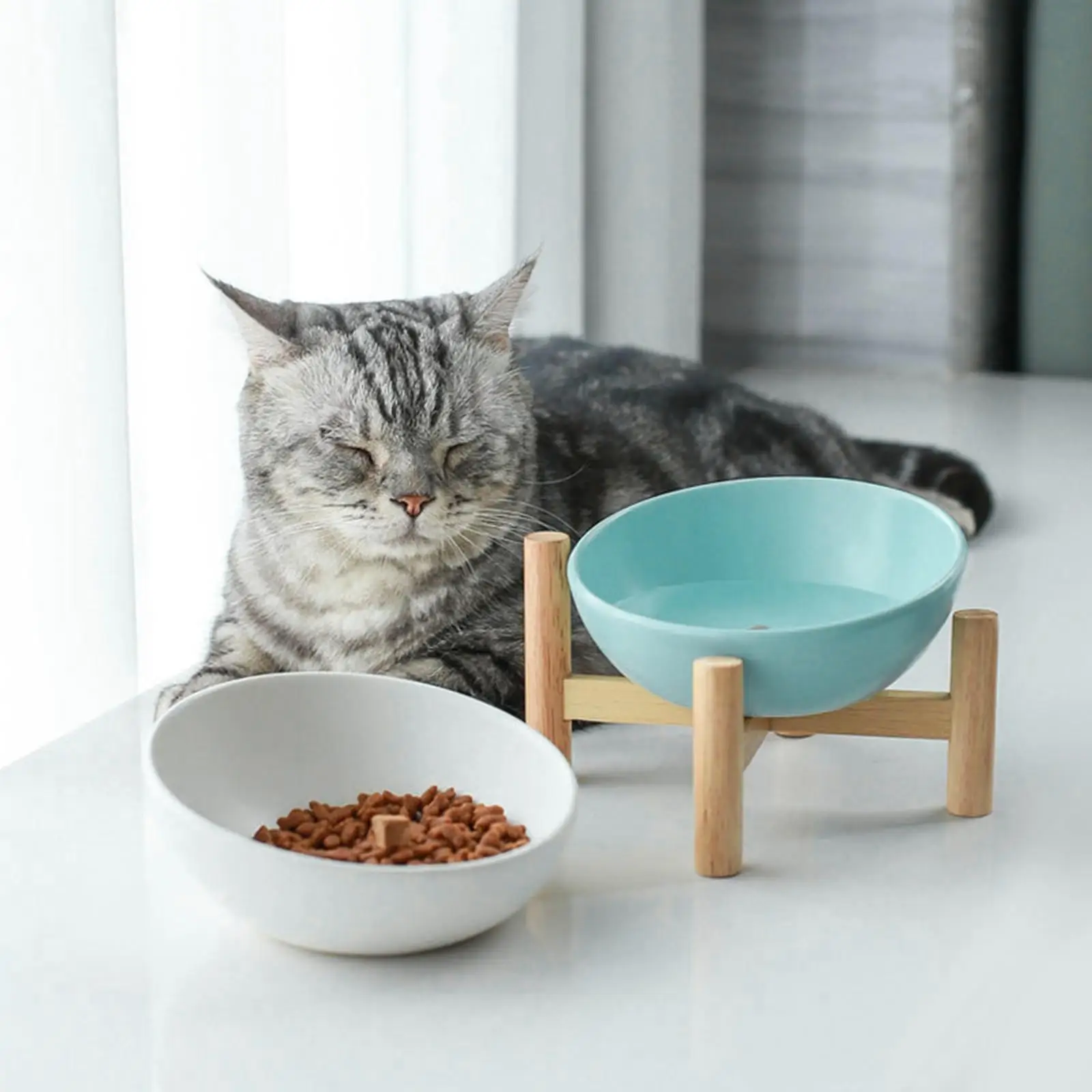 Tilting Cat Bowl with Stand Feeder Non Slip Ceramic Drinking Durable Easy Cleaning Dog Bowl for Cats Dogs