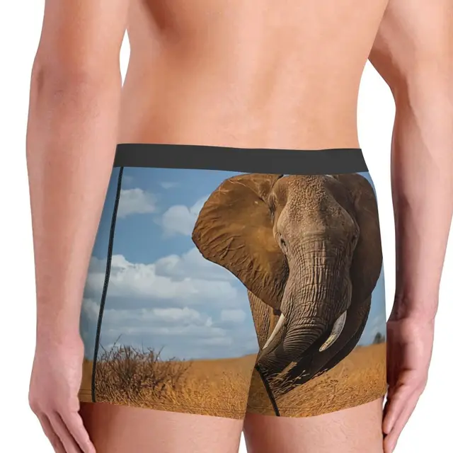 African Elephant In Kruger National Park Men Boxer Briefs Breathable Funny  Underwear Print Shorts Birthday Gifts