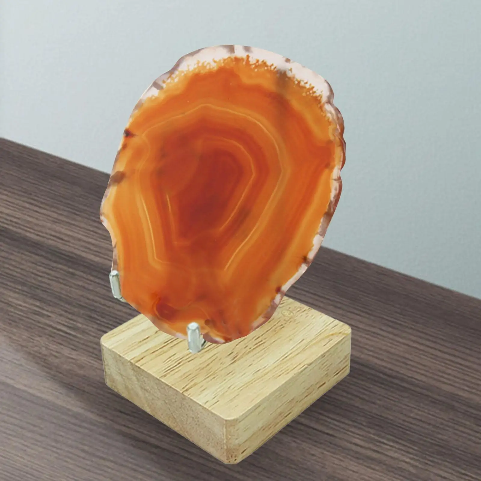 Wooden Display Stand Stones Spheres Holders Exhibition Collectibles Durable Marbles Display Base for Photography Decor