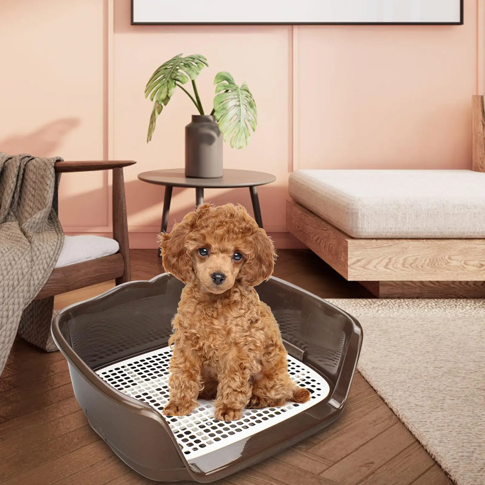 Indoor Dog Potty Tray Small Dog Urinal with Protection Wall Every Side Litter Box with Removable Post Keep Floors Clean Toilet