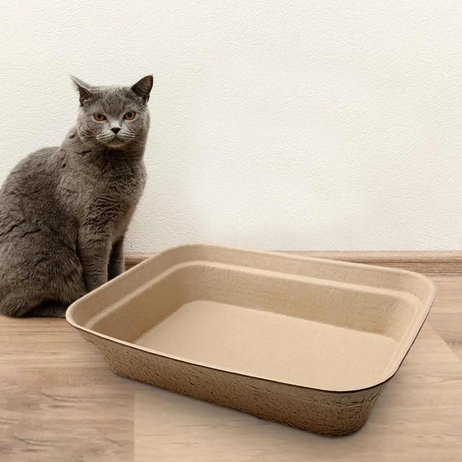 Disposable Cat Litter Boxes Kitty Travel Toilet Large Capacity Kitten Litter Pan Cats Litter Boxes Tray for Small Animals Bunny