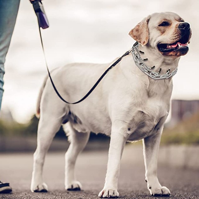 How to make 2024 a prong collar cover