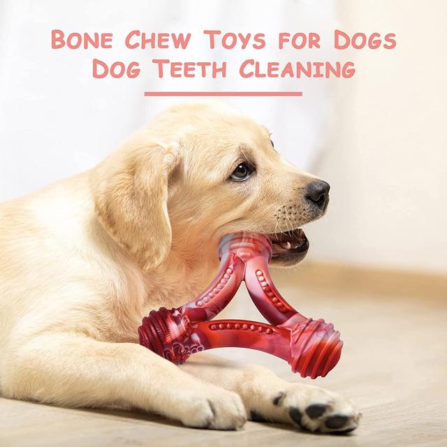 Fun Engaging Dog Toy Long-lasting Durable Dog Training Toys for Pet Play  Bite Sticks Tear-resistant Equipment Supplies Durable - AliExpress