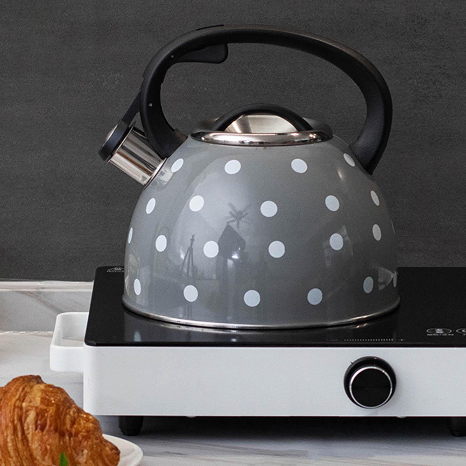 Kitchen Whistling Kettle Sounding Kettle for Boiling Coffee Gas Induction Cookers