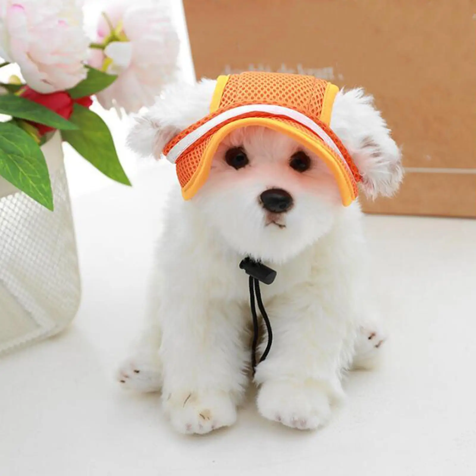 Dog with Ear Holes Headgear Cats Visor Hat for Outdoor Sports Summer