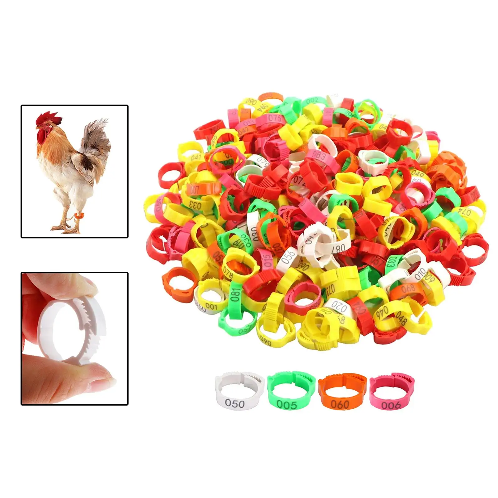 100x Poultry Foot Bands Adjustable Buckle Clip Ring Foot Label Rings Chicken Leg Rings for Chickens Ducks Pigeon Goose Bantam