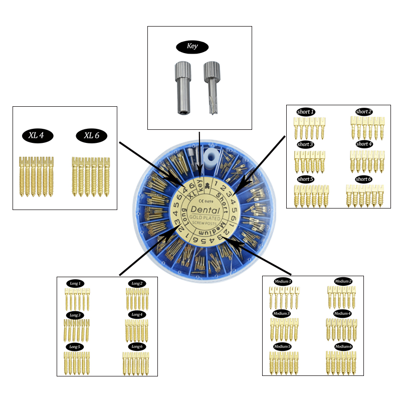 Best of Dental Endodontic Conical Screw Post Endo Root Canal Pins Pure Titanium Stainless Steel Gold Plated Quartz Glass Material Reviews & Tips