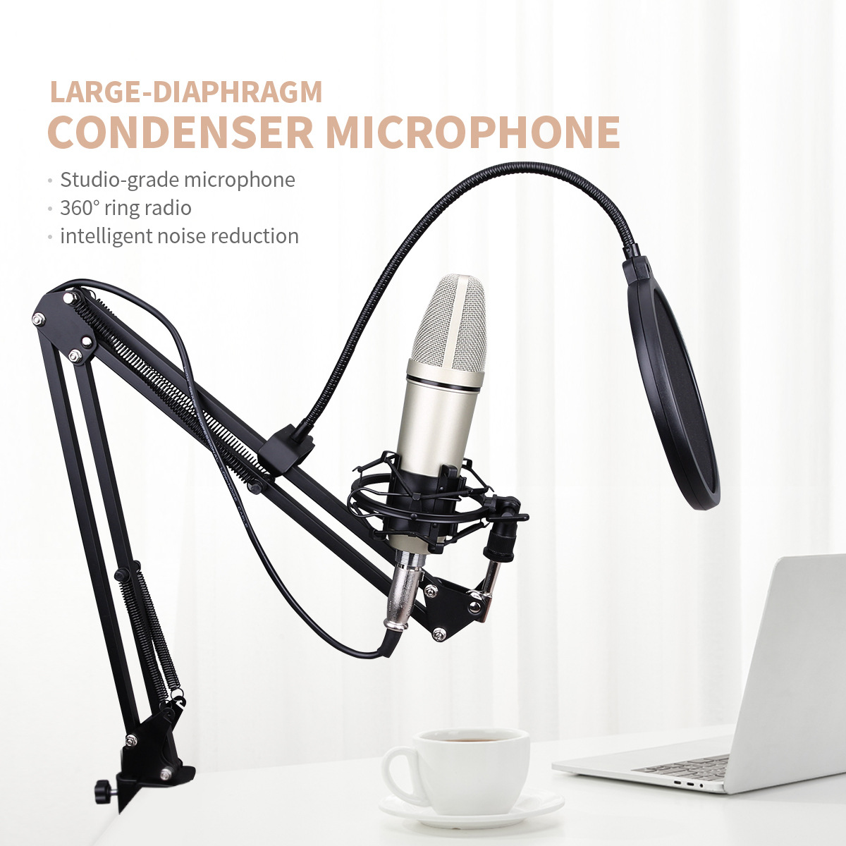 Title 1, RU-87 Professional Condenser Microphone For Stu...