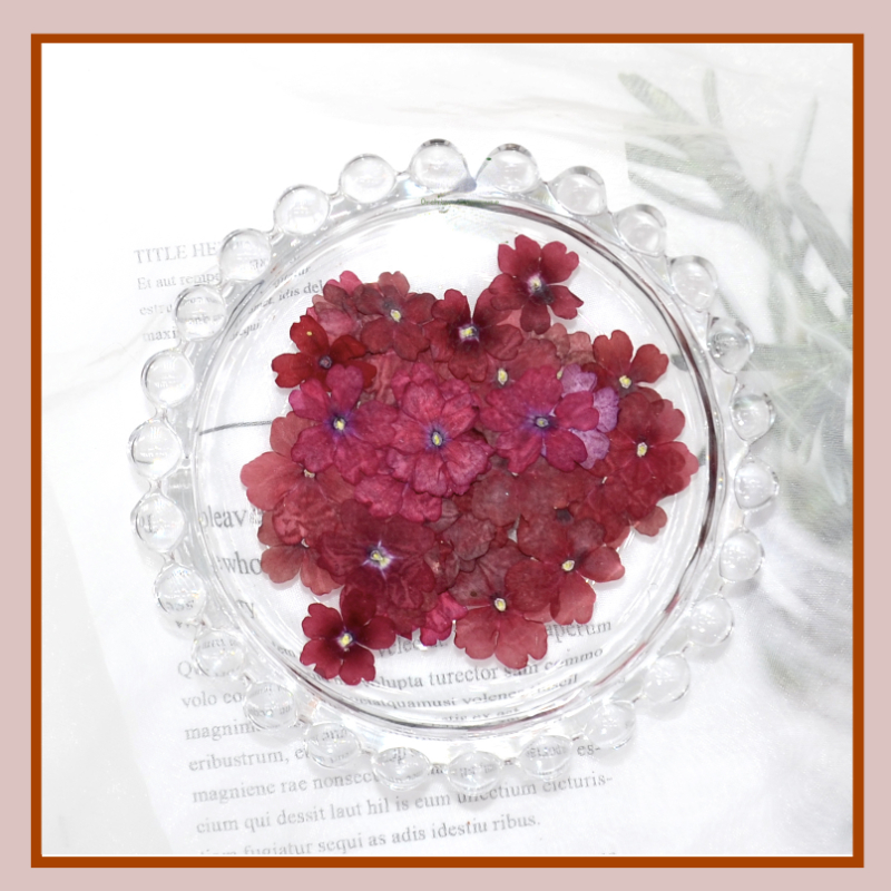1-2cm/24 Stück, Natürliche Gepresste Sakura-Blüten, Echte Blütenblätter für DIY Kleber-Dekoration Handyhülle Maniküre Gesichtsdekoration – Detail 5