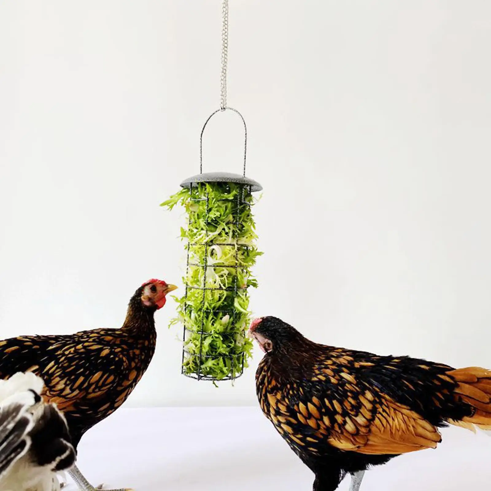 Foraging Basket Suet Cage Holder Bird Food Basket for Walkway Patio Broccoli
