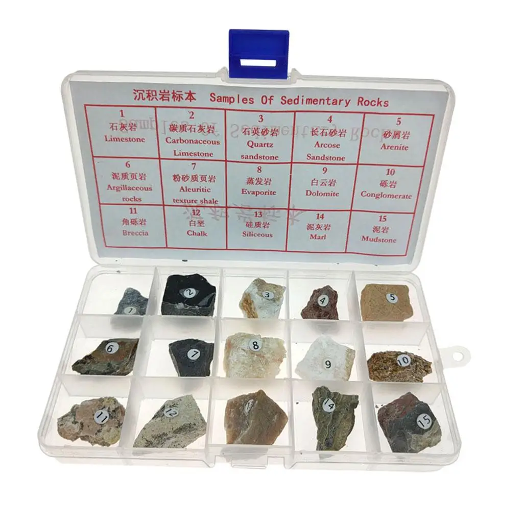 15 Pieces Sedimentary Rock Specimen Mineral Rock Stone Collection Kit Geology Science Kit Educational Toy for Children