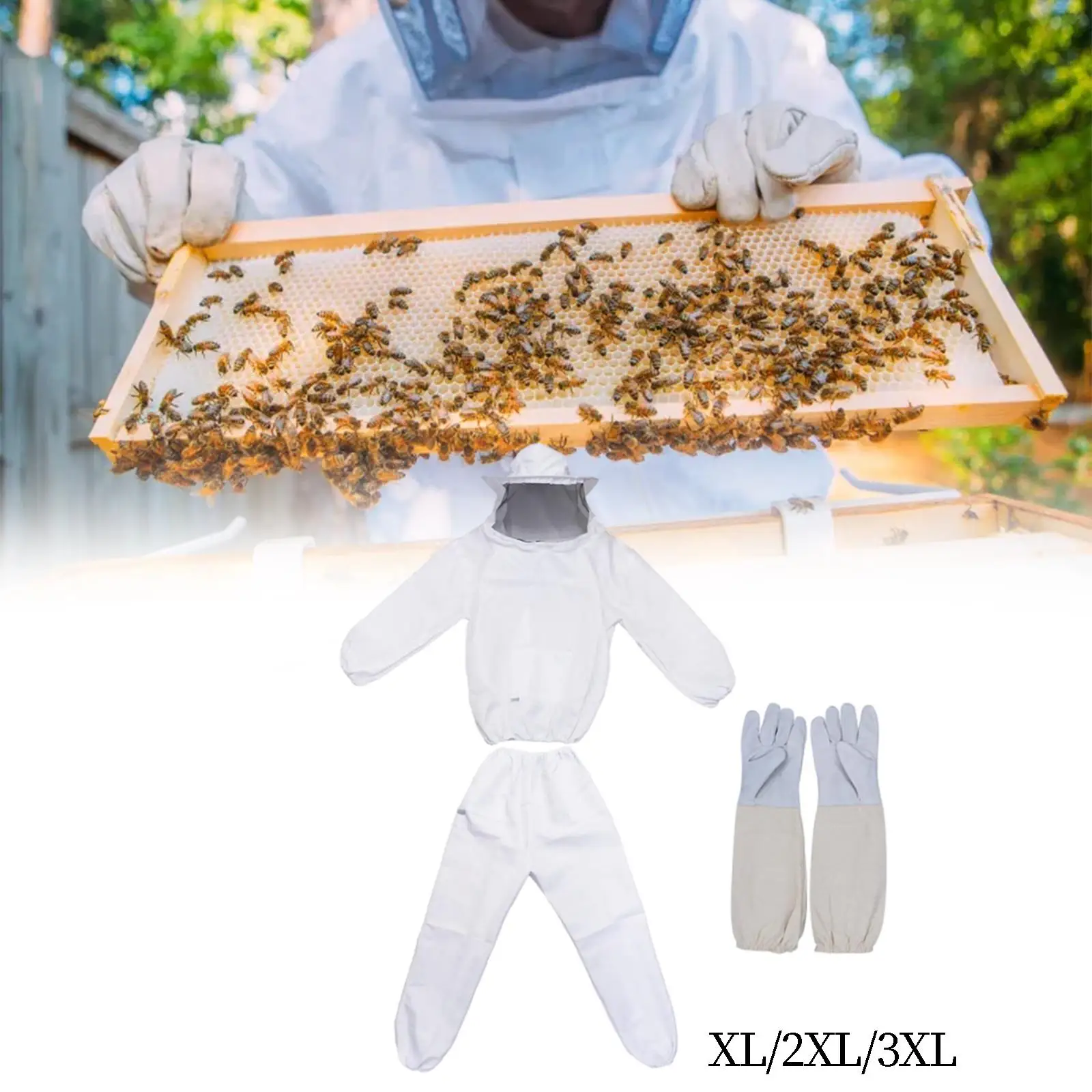 Anti Bee Suit Beekeeping Clothes Multi Size Bee Outfit Backyard Beginner