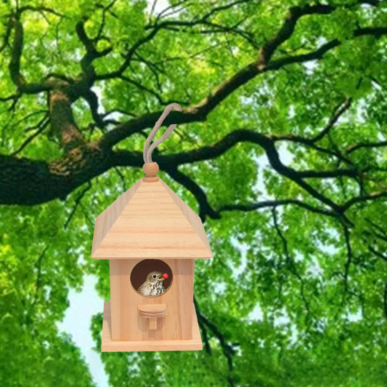 Wooden Birdhouse DIY Arts Crafts Paint Doodle Bird House for Outdoor Small Birds