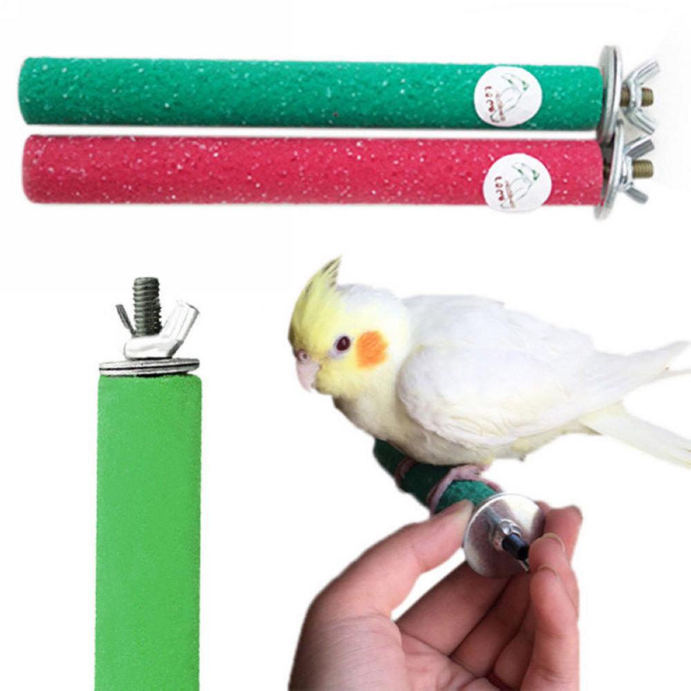 Title 4, Pet Parrot Budgie Medium Size Chew Bite Paw Gri...