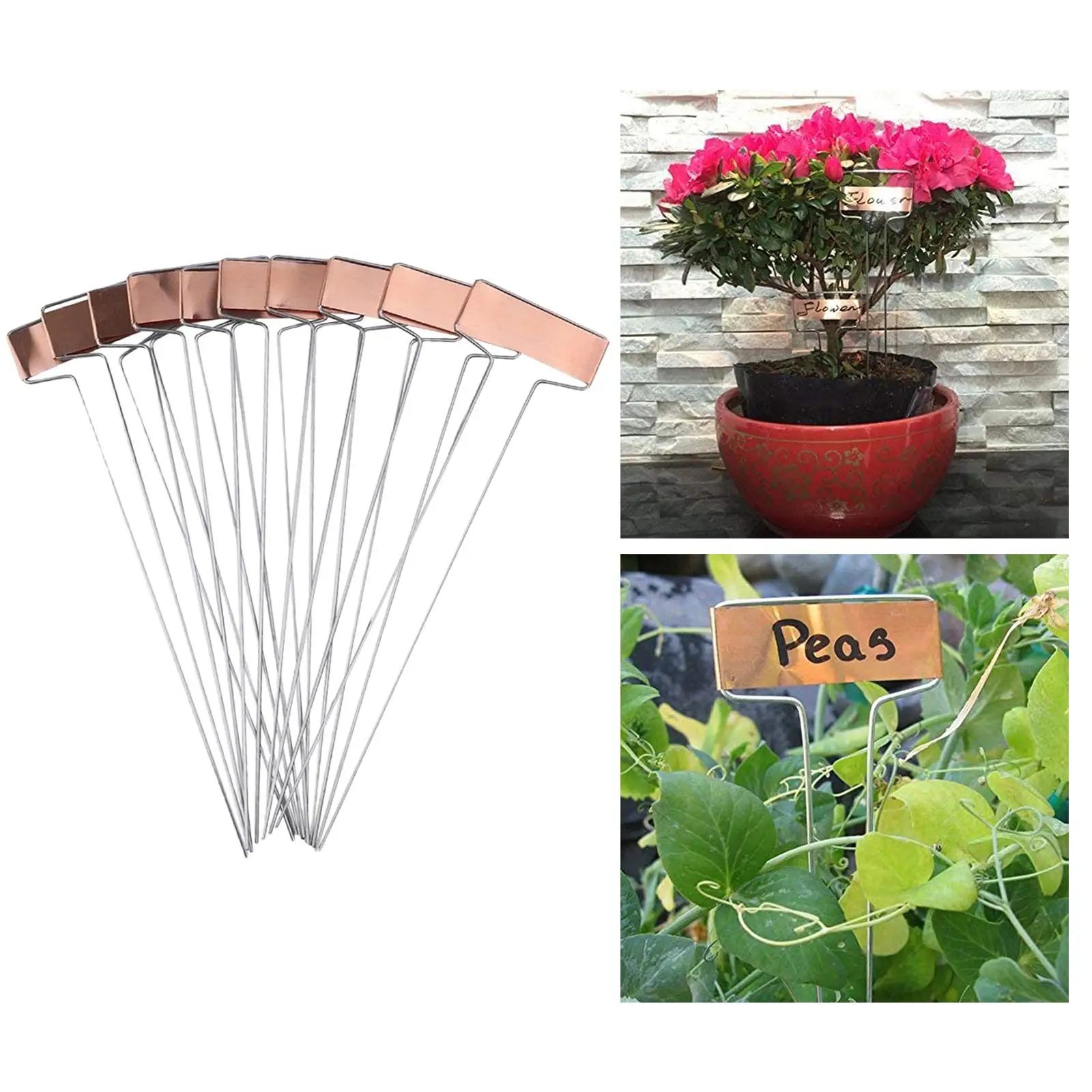 10 Pieces Metal Plant Labels Plant Container Accessories Weatherproof Reusable Plant Markers for Garden Home Balcony Outdoor