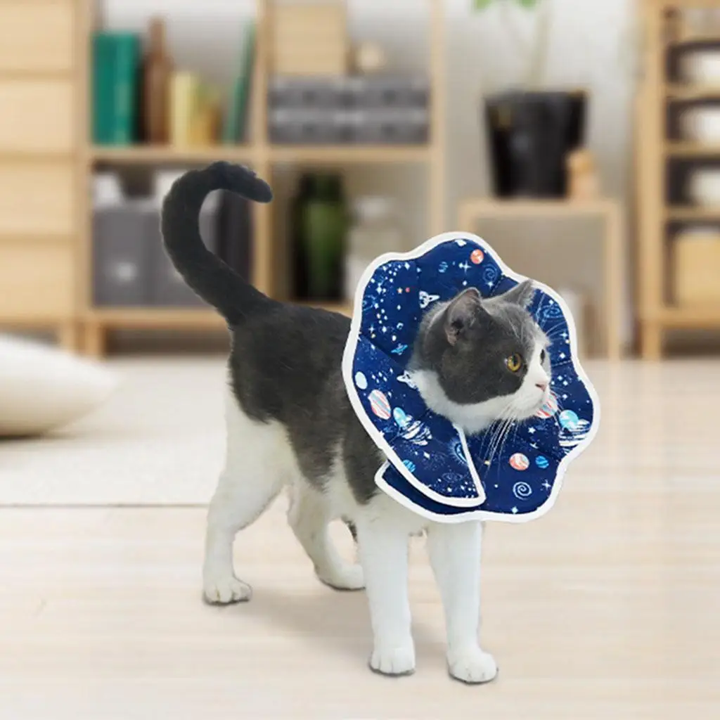 Cat  Collar  Neck Cone Cat  Padded   Lick  with Smooth Texture for Kitten and Cat
