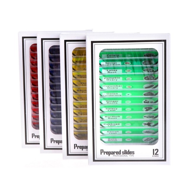 Boîte De 100 Lames Préparées Pour Microscope - Spécimens Plantes, Insectes, Animaux, Tissus Humains, Bactéries - Pour Enfants, étudiants, Adultes