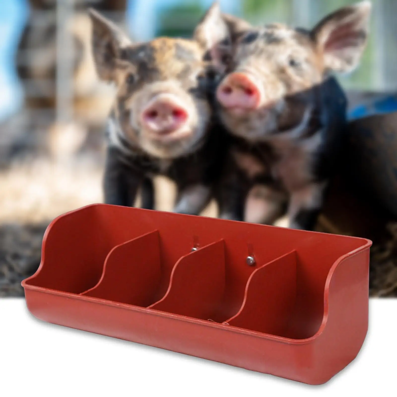 Pig Feeder Livestock Fodder Dish Piglet Fodder Slot for Growers Small Animals Goat