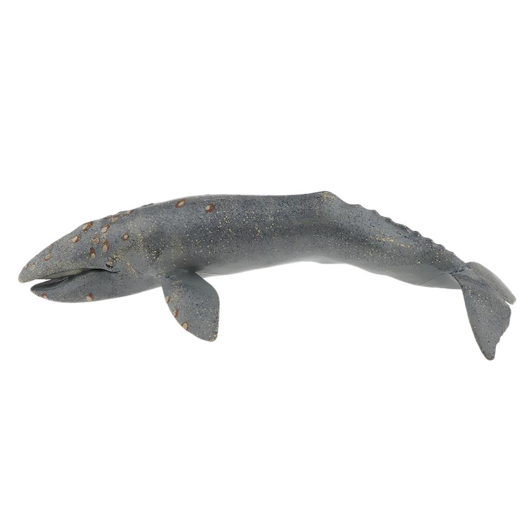  Sea Large Humpback  Animal Model Plastic Figure  Gifts