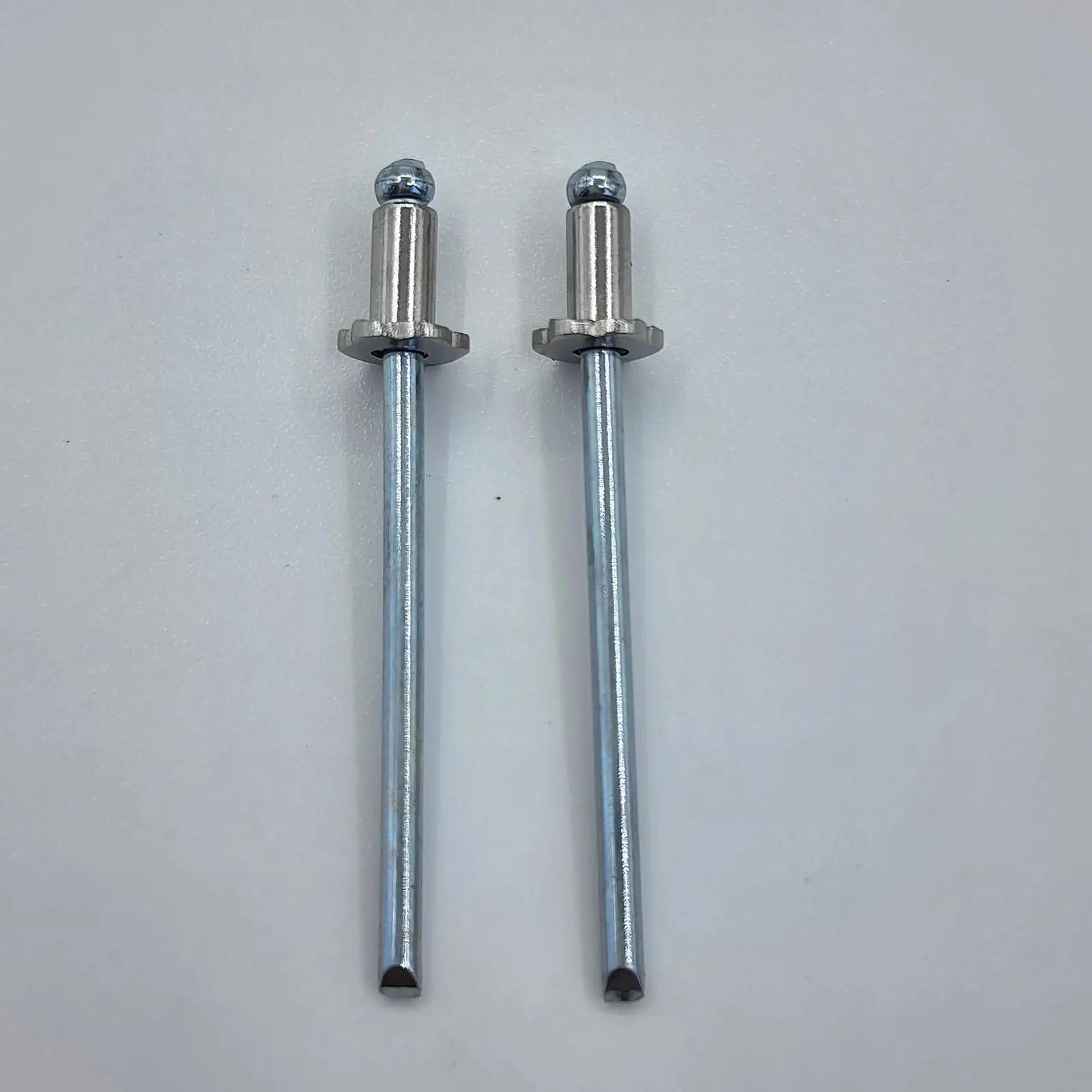 2 Pieces Stainless Steel Rosette Rivets Universal Door Tag Rivets Bolt Replacement Accessory Durable Easy Installation