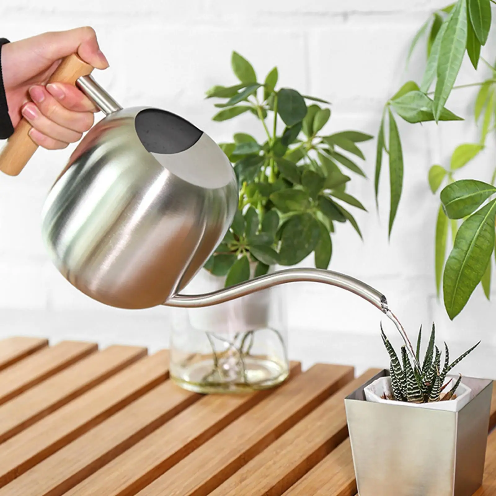 Watering Can Indoor Plants Modern with Long Spout for Garden Bonsai Decor