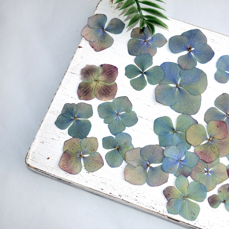 2,5-5cm/24 Stück, Gepresste Herbst-Hortensien Echte Trockenblumenblätter, DIY Weihnachts-Fotorahmen Lesezeichen Schreibtischlampe Tropfengel Handyhülle – Detail 1