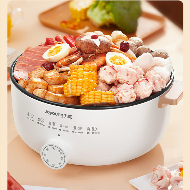 Steamer Electric Steamer Can Be Reserved Electric Stewer Household Glass  Multifunctional Steam Stewer 6l Food Warmer 220V - AliExpress