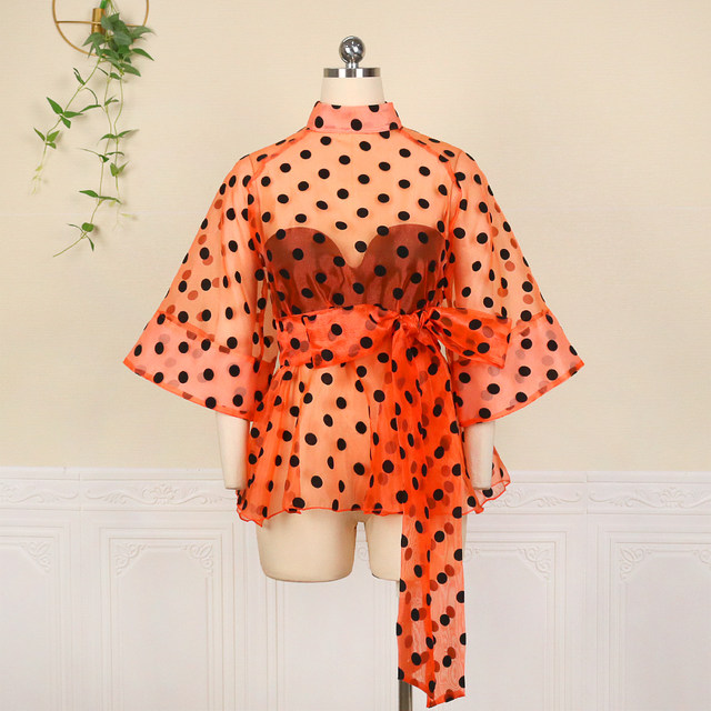 polka dot organza top