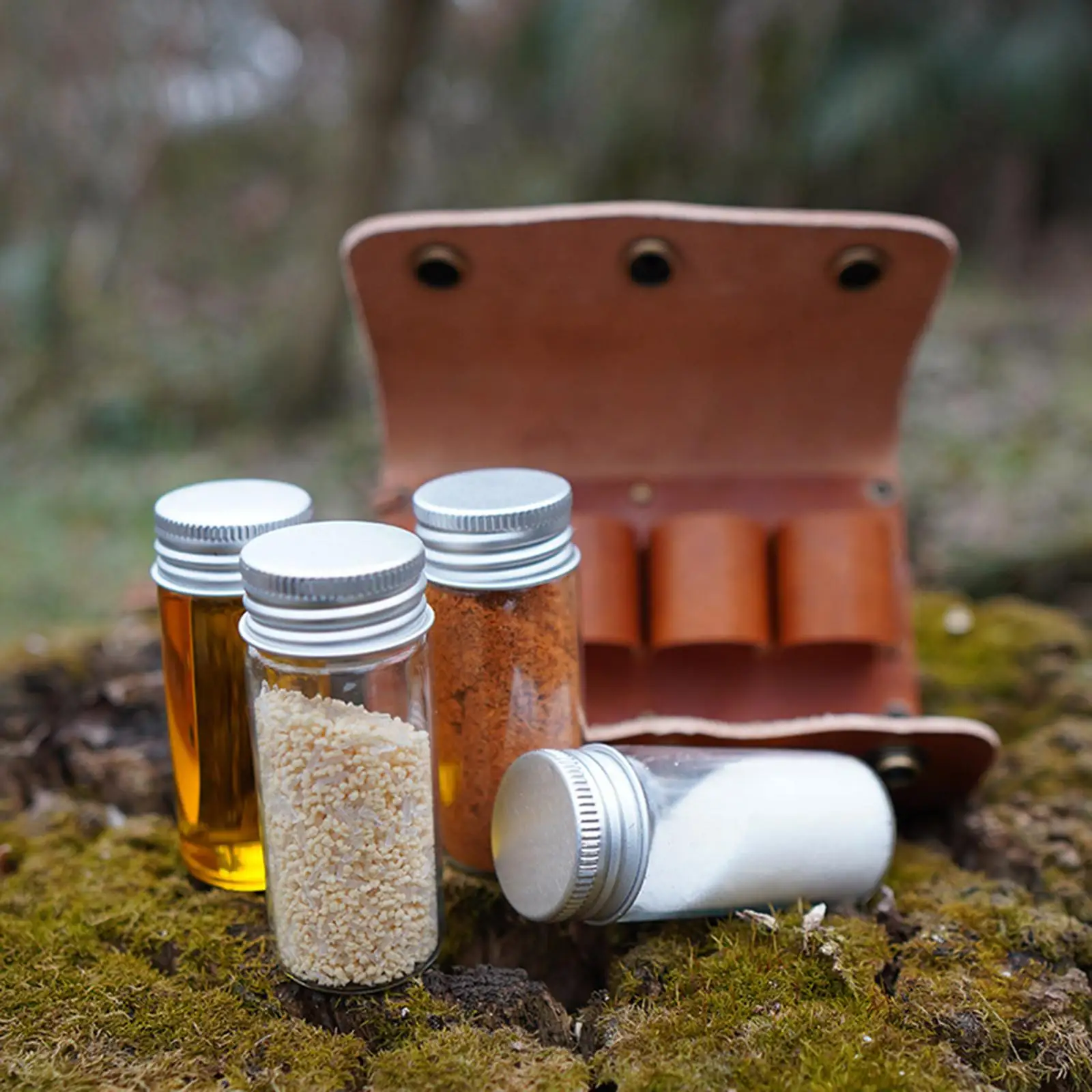 Condiment Bottle Kit Jar with Carry Bag Transparent Seasoning Pot Holder Tool Seasoning Set for Camping Outdoor Cruet Herb Salt
