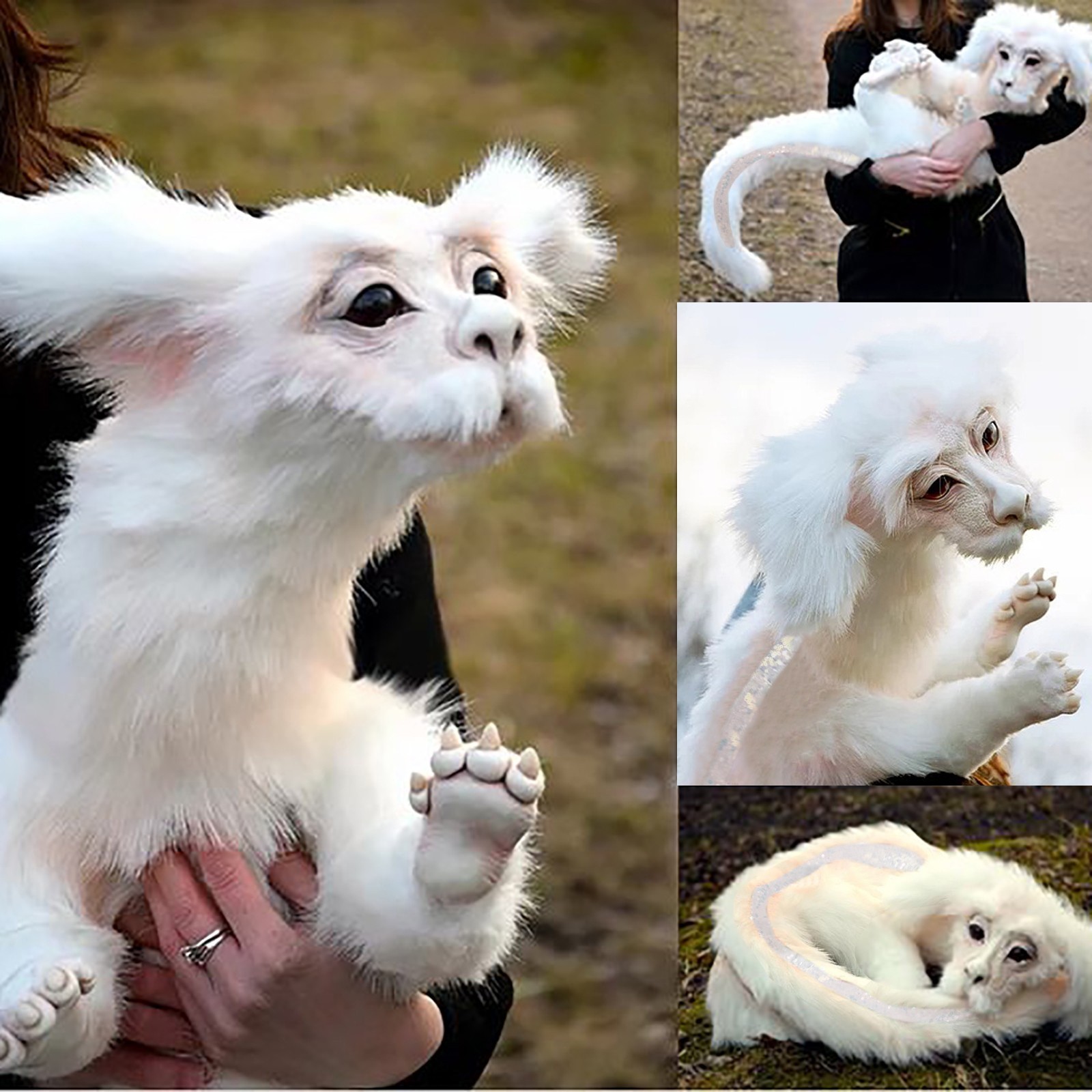 Falkor Дракон плюшевая кукла Falkor от неверной истории мягкая плюшевая  подушка игрушки для детей взрослых милый домашний декор